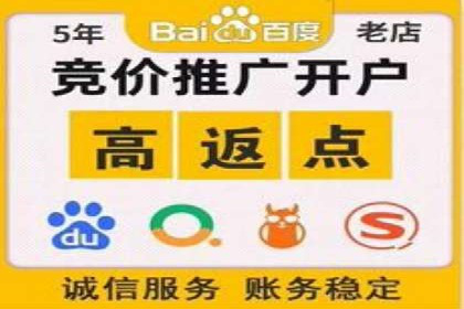 百度SEM广告投放中的数据监测与优化